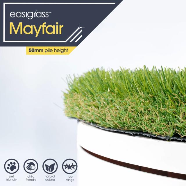 Easigrass Aberdeen